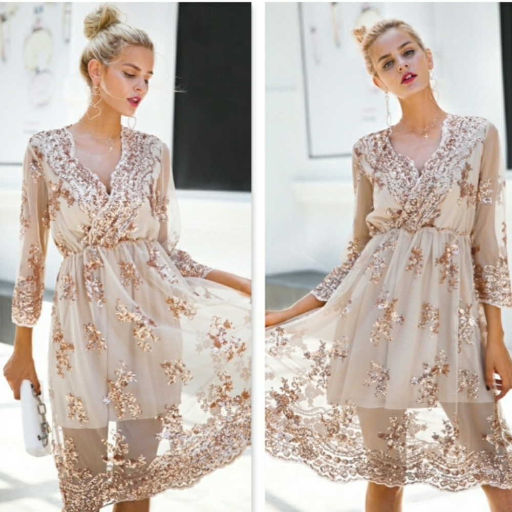 V-Neck Mesh Dress with Sequins